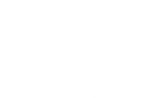 Bocianie Gniazdo Rosocha